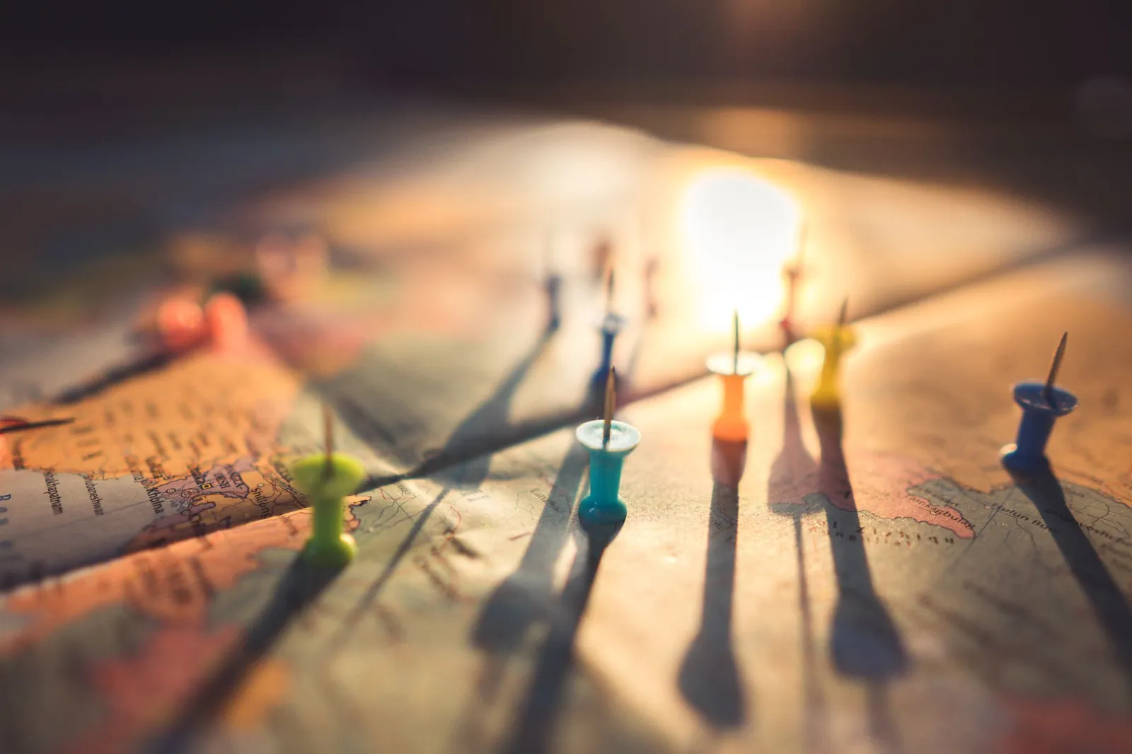 lingua-lab's bounce finally broke — the portfolio's highest-engagement property is ready to scale